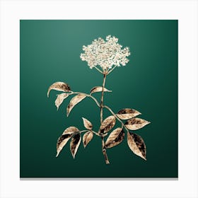 Gold Botanical Elderflower Tree on Dark Spring Green n.3841 Canvas Print