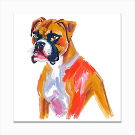 Boxer 03 Canvas Print