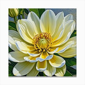 Dahlia 7 Canvas Print