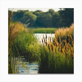 Reeds In The Water Canvas Print