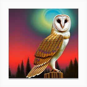 Barn Owl Canvas Print