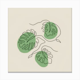 Monstera Factory Leaves Canvas Print