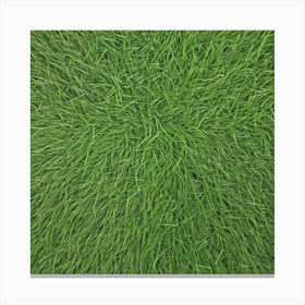 Grass Flat Surface For Background Use (29) Canvas Print
