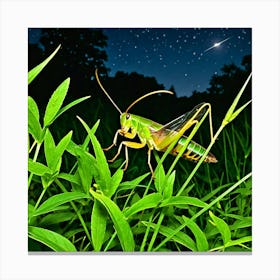 Grasshopper At Night 3 Canvas Print