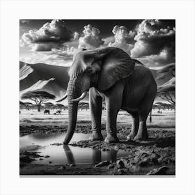 Elephant In The Savannah 3 Canvas Print