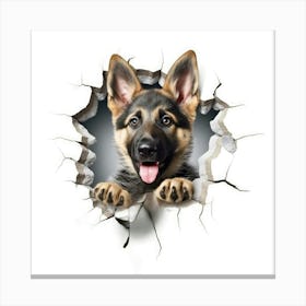 German Shepherd Puppy Canvas Print