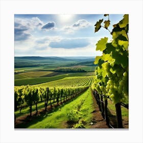 Countryside Wine Heaven Vine Green Nature Rheinland Grape Grower Eifel Spring Vinery Blan (2) Canvas Print