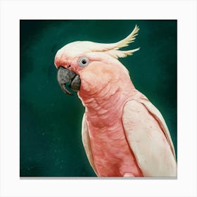 Pink Cockatoo Art Illustration Painting Cinematic 1f9dgddaqzmqh6fkiwprjg Qc6h Mhsosy850fhidhza Canvas Print