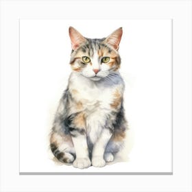 American Wirehair Cat Portrait 1 Canvas Print