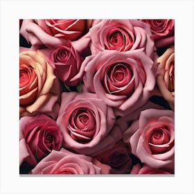 Pink Roses 15 Canvas Print