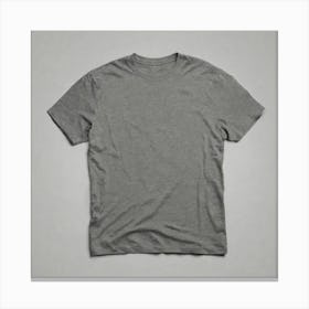 Grey Tee Shirt 1 Canvas Print