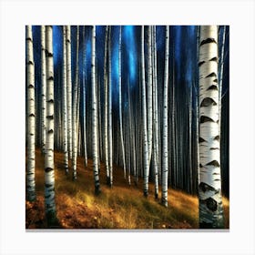 Birch Forest 8 Canvas Print