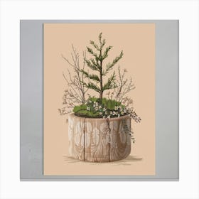 Pine Tree In Pot Canvas Print