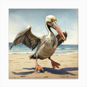 Pelican 24 Canvas Print