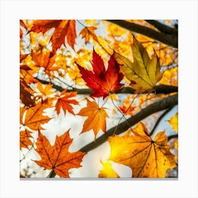 Autumn Leaves Canvas Print