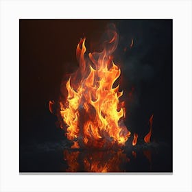 Fire On A Black Background Canvas Print