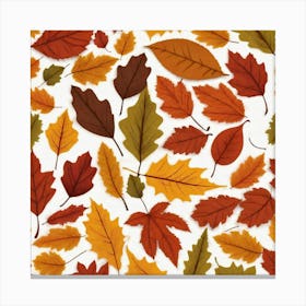 Autumn Leaves 17 Canvas Print