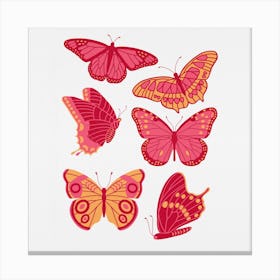 Texas Butterflies   Pink And Orange Square Canvas Print