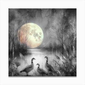 Ducks With The Moon Canvas Print