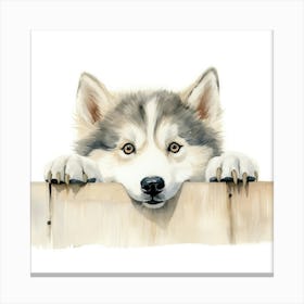 Husky Dog 6 Canvas Print