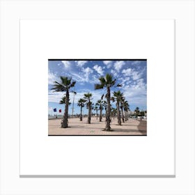 Palm Trees On The Beach Canvas Print