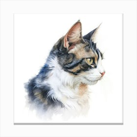 Chinese Li Hua Cat Portrait Canvas Print