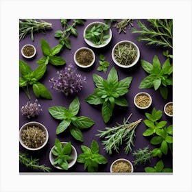 Herbs As A Background (71) Canvas Print