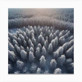 Winter Forest With Visible Horizon And Stars From Above Drone View Perfect Composition Beautiful (2) Canvas Print