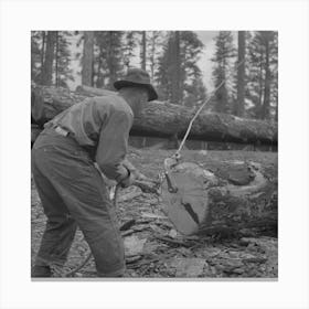 Grant County, Oregon, Malheur National Forest,Lumberjack Putting Hook Into Log Which Will Be Loaded Onto Flatcar By Canvas Print
