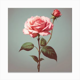 Pink Rose Canvas Print