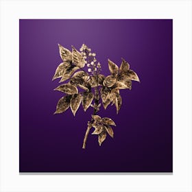 Gold Botanical European Bladdernut on Royal Purple n.3169 Canvas Print