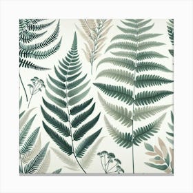 Ferns 23 Canvas Print