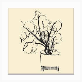 Monstera Swiss Cheese Plant Ink Drawing Canvas Print