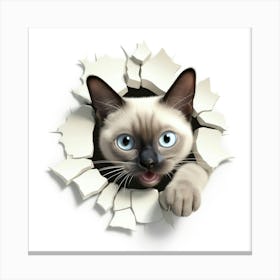 Siamese Cat Canvas Print