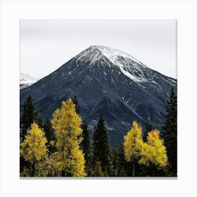 Fall In The Mountains Canvas Print