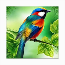 Colorful Bird 10 Canvas Print