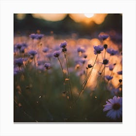 Purple Flowers At Sunset Canvas Print