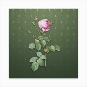 Vintage Provence Rose Botanical on Lunar Green Pattern Canvas Print