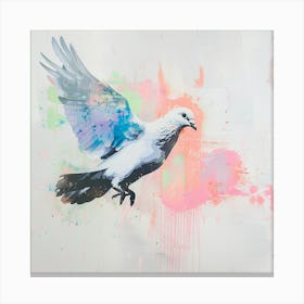 Dove fly 1 Canvas Print