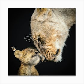 Lioness And Cub Canvas Print