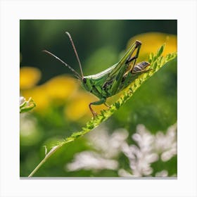 Grasshopper 43 Canvas Print