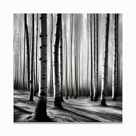 Birch Forest 39 Canvas Print