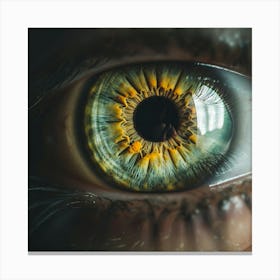 Close Up Of An Eye Canvas Print