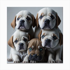 Bulldogs Canvas Print