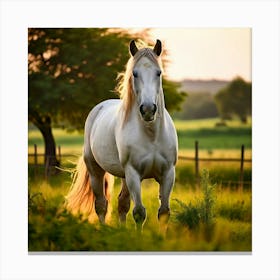 Grass Mane Head Graze Equestrian Pasture Elegant Sun Beauty Horse Standing Rural Green (9) Canvas Print