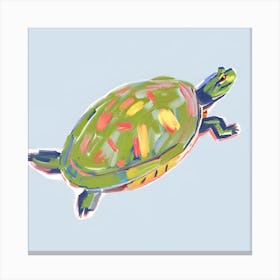 Painted Turtle 07 Canvas Print