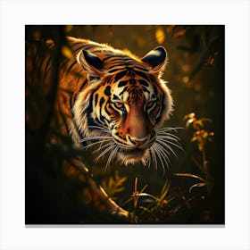 Tiger 4 Canvas Print