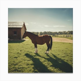 Horse Standing In A Field Canvas Print