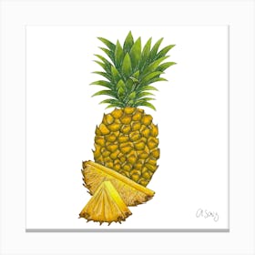 Pineapple 2 Canvas Print