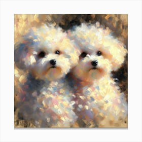 Bichon Frisé dogs 2 Canvas Print